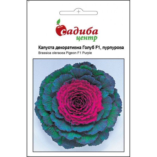 Семена капусты декоративная Голубь F1 пурпурный /10 семян/ *Садыба*