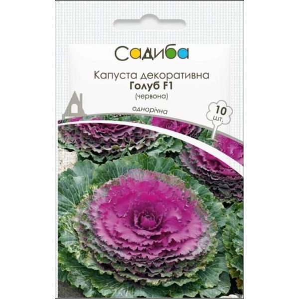 Семена капусты декоративной Голубь F1 красная /10 семян/ *Садыба*
