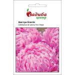 Айстра Елегія насичено-рожева /0,2 г/ *Садиба*