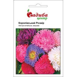 Астра Королевский размер смесь /0,2 г/ *Садыба*