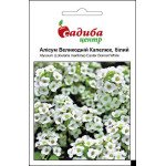 Аліссум Великодній Капелюх білий /0,1 г/ *Садиба*