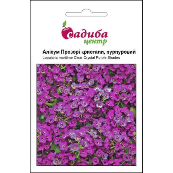 Семена алиссума Прозрачные кристаллы пурпурный /50 гранул/ *Садыба*
