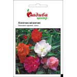 Бальзамин Мальчик-мизинчик смесь /0,5 г/ *Садыба*