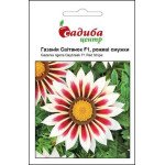 Газания Рассвет розовые полоски /10 шт/ *Садыба*