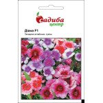 Гвоздика Діана F1 суміш /10 гранул/ *Садиба*