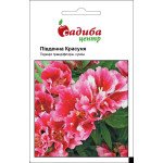 Годеция Южная красавица /0,2 г/ *Садыба*