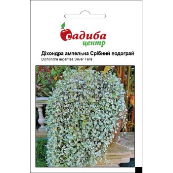 Дихондра ампельная Серебряный фонтан /3 шт/ *Садыба*