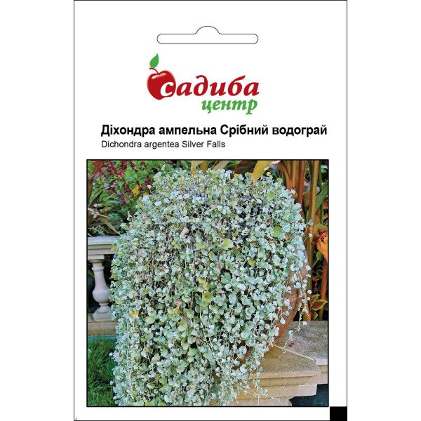 Насіння дихондри Срібний водограй /3 шт/ *Садиба*