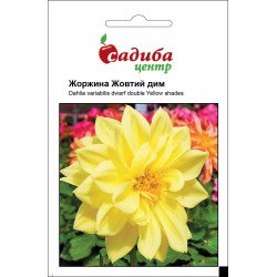 Жоржина Дим жовтий /0,1 г/ *Садиба*