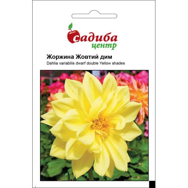 Семена георгины Дым желтый /0,1 г/ *Садыба*
