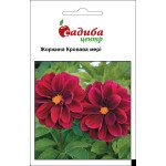 Георгина Кровавая Мери /0,1 г/ *Садыба*