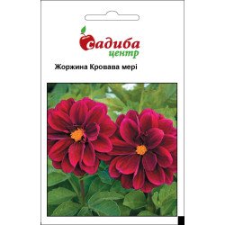 Жоржина Кривава Мері /0,1 г/ *Садиба*