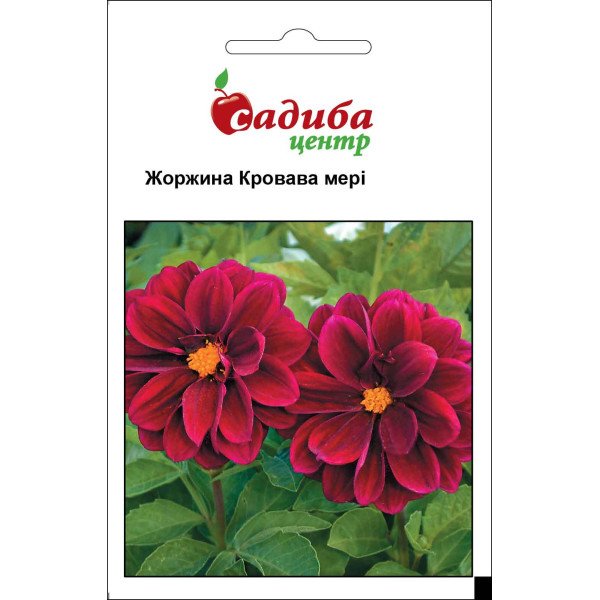 Семена георгины Кровавая Мери /0,1 г/ *Садыба*