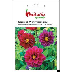 Георгина Дым фиолетовый /0,1 г/ *Садыба*