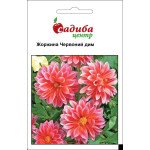 Жоржина Дим червоний /0,1 г/ *Садиба*