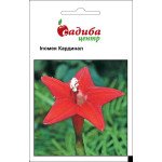 Іпомея Кардинал /0,5 г/ *Садиба*