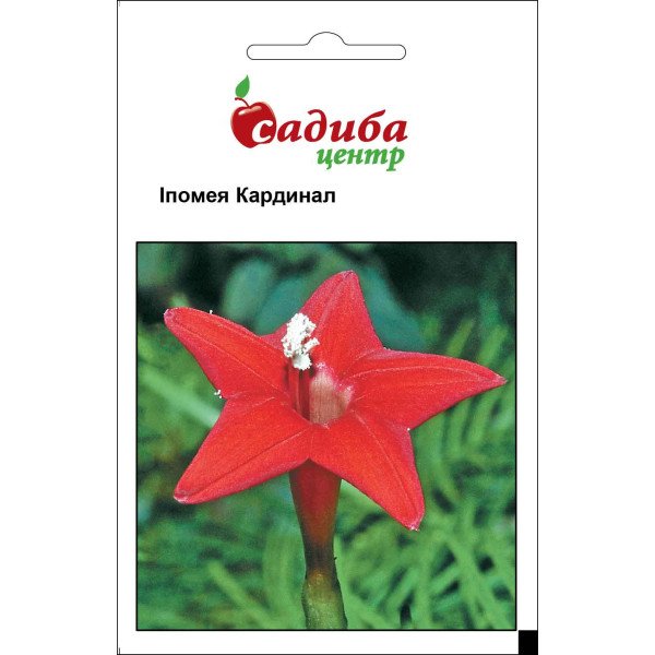 Семена ипомеи Кардинал /0,5 г/ *Садыба*