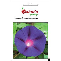 Іпомея Пурпурно-Чорна /0,5 г/ *Садиба*