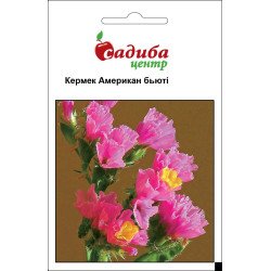 Кермек Американ Бьюті /0,1 г/ *Садиба*