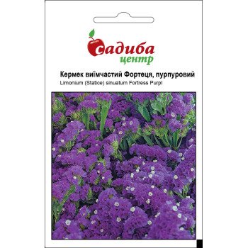 Кермек Крепость пурпурный /0,1 г/ *Садыба*