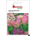 Клеома Веселий водоспад суміш /0,3 г/ *Садиба*