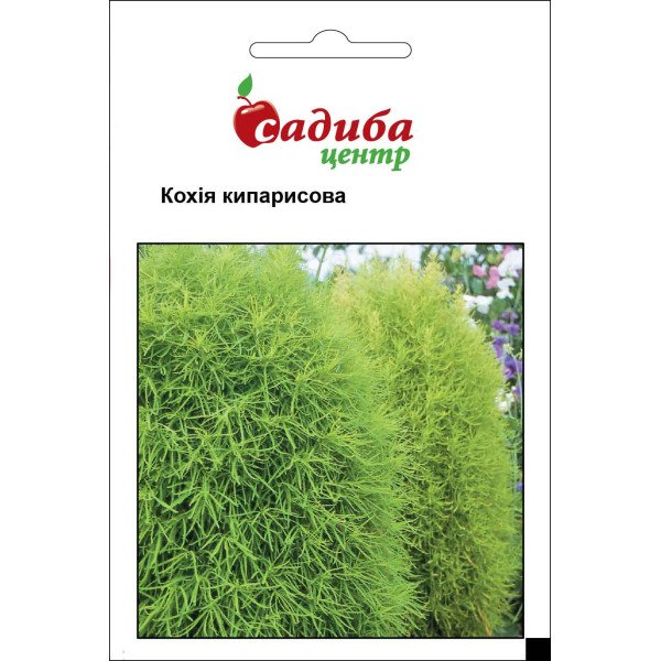 Насіння кохії Кіпарисова /0,5 г/ *Садиба*