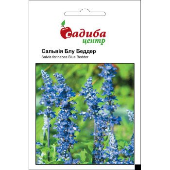 Сальвия Блу Беддер /0,5 г/ *Садыба*