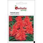 Сальвія Палкий Джаз /0,1 г/ *Садиба*