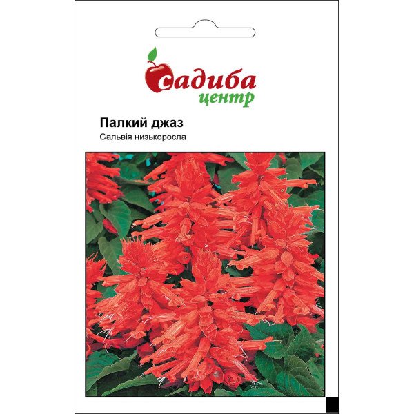 Семена сальвии Страстный Джаз /0,1 г/ *Садыба*