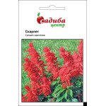 Сальвія Скарлет /0,1 г/ *Садиба*