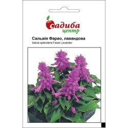 Сальвия Фарао /0,1 г/ *Садыба*