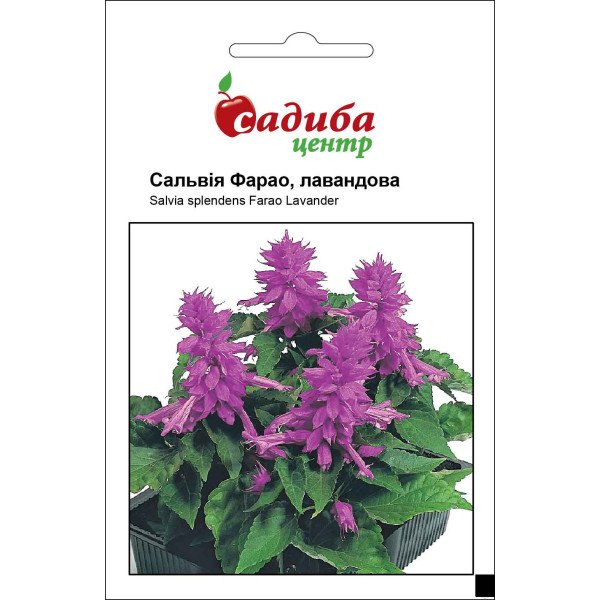 Насіння сальвії Фарао /0,1 г/ *Садиба*