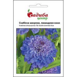 Скабиоза махровая лавандово-синяя /0,2 г/ *Садыба*