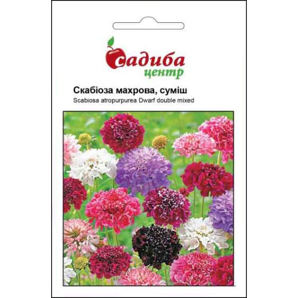Семена скабиозы махровой смесь /0,3 г/ *Садыба*