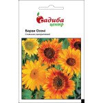 Подсолнечник Краски осени /1 г/ *Садыба*