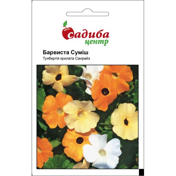 Семена тунбергии Красочная смесь /0,1 г/ *Садыба*