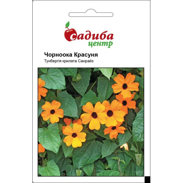 Семена тунбергии Черноглазая красавица /0,1 г/ *Садыба*
