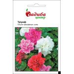 Петунія Тріумф суміш /0,02 г/ *Садиба*