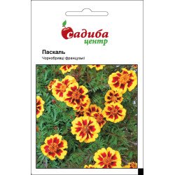 Чорнобривці Паскаль /0,2 г/ *Садиба*