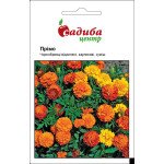 Бархатцы Примо /0,2 г/ *Садыба*
