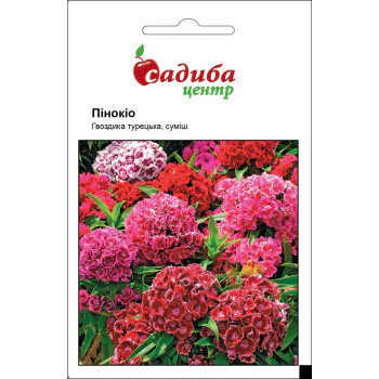 Гвоздика турецкая Пинокио смесь /0,2 г/ *Садыба*