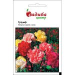 Гвоздика садова Тріумф суміш /0,2 г/ *Садиба*