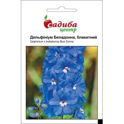Дельфініум Беладонна /10 шт/ *Садиба*