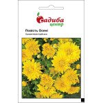 Хризантема індійська Повість Осені /0,1 г/ *Садиба*