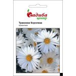Хризантема Травнева Корольова /0,1 г/ *Садиба*