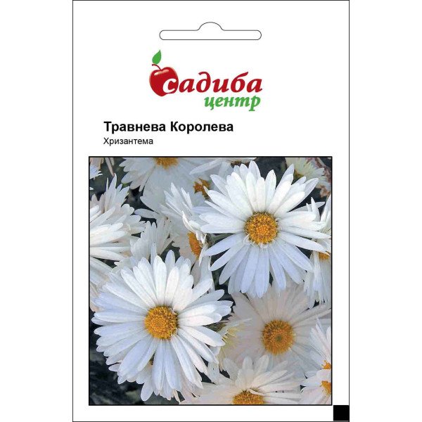 Насіння хризантеми Травнева Корольова /0,1 г/ *Садиба*