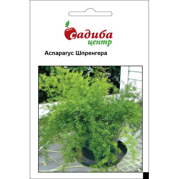Семена аспарагуса Шпренгера /0,3 г/ *Садыба*