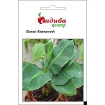 Банан кімнатний /3 шт/ *Садиба*