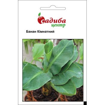 Банан кімнатний /3 шт/ *Садиба*