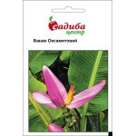 Банан бархатный /3 шт/ *Садыба*